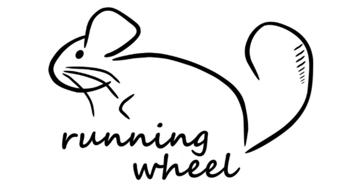 Running Wheel Premium Accessories for Small Pets Running wheel